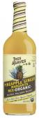 Tres Agaves - Pineapple Ginger Margarita Mix 0