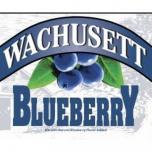 Wachusett Brewing Co - Blueberry Ale 0 (21)