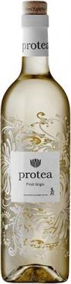 Anthonij Rupert Wyne - Protea Pinot Grigio NV (750ml) (750ml)