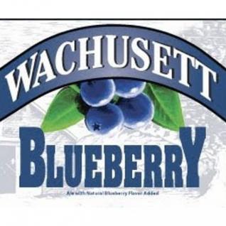 Wachusett Brewing Co - Blueberry Ale (6 pack 12oz bottles) (6 pack 12oz bottles)
